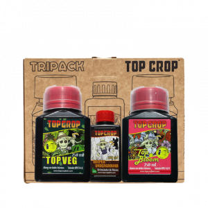Canneby Tripack Top Crop