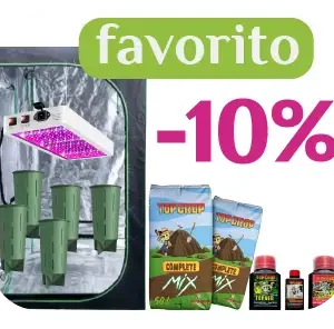KIT 2 AUTOCULTIVO