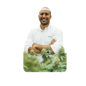 Asesoría en Autocultivo
