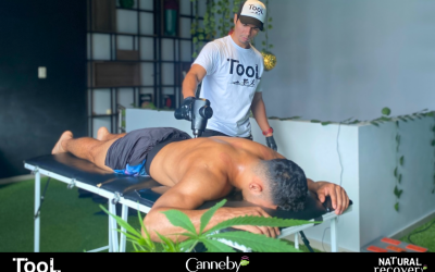 🧘‍♂️CBD para el bienestar físico y mental: la alternativa natural que está cambiando vidas