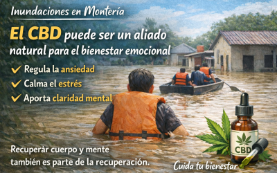 Cuidar la mente también es parte de la recuperación